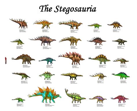 dinosaur identification chart